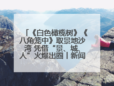 《白色橄榄树》《八角笼中》取景地沙湾 凭借“景、城、人”火爆出圈丨新闻发布最前线