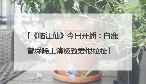 《临江仙》今日开播：白鹿曾舜晞上演极致爱恨拉扯