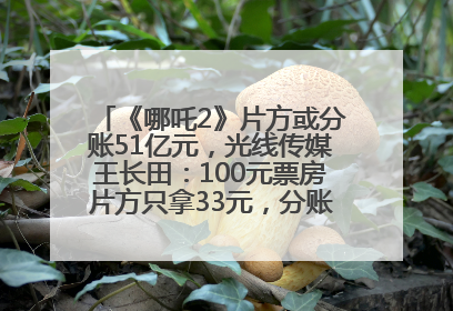 《哪吒2》片方或分账51亿元，光线传媒王长田：100元票房片方只拿33元，分账方式不合理