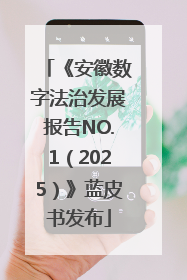 《安徽数字法治发展报告NO.1（2025）》蓝皮书发布