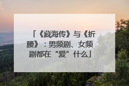 《藏海传》与《折腰》：男频剧、女频剧都在“爱”什么