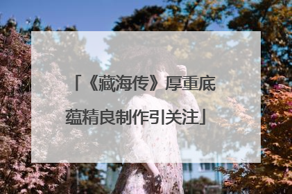 《藏海传》厚重底蕴精良制作引关注