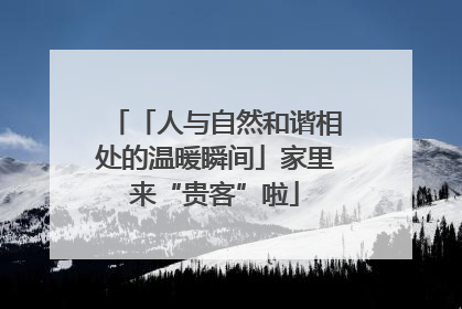 「人与自然和谐相处的温暖瞬间」家里来“贵客”啦