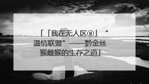 「我在无人区⑧」“温情联盟”——黔金丝猴雌猴的生存之道