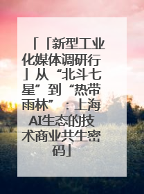 「新型工业化媒体调研行」从“北斗七星”到“热带雨林”：上海AI生态的技术商业共生密码