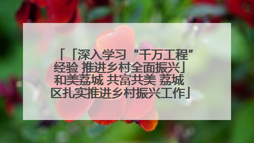「深入学习“千万工程”经验 推进乡村全面振兴」和美荔城 共富共美 荔城区扎实推进乡村振兴工作