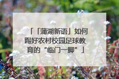 「蒲湖新语」如何踢好农村校园足球教育的“临门一脚”