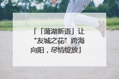 「蒲湖新语」让“友城之花”跨海向阳，尽情绽放
