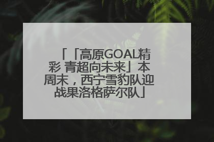 「高原GOAL精彩 青超向未来」本周末，西宁雪豹队迎战果洛格萨尔队