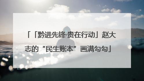 「黔进先锋·贵在行动」赵大志的“民生账本”画满勾勾