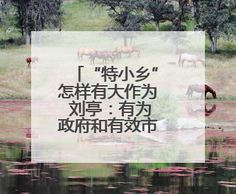 “特小乡”怎样有大作为 刘亭：有为政府和有效市场相向发力