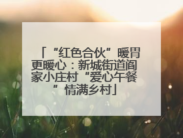 “红色合伙”暖胃更暖心：新城街道阎家小庄村“爱心午餐”情满乡村