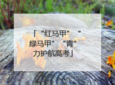 “红马甲”“绿马甲”“青”力护航高考