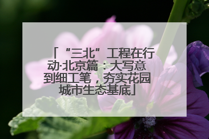 “三北”工程在行动·北京篇：大写意到细工笔，夯实花园城市生态基底