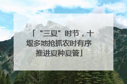 “三夏”时节，十堰多地抢抓农时有序推进夏种夏管