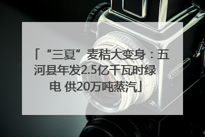 “三夏”麦秸大变身：五河县年发2.5亿千瓦时绿电 供20万吨蒸汽