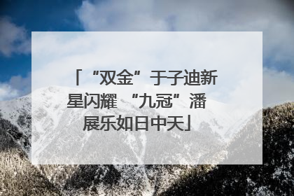 “双金”于子迪新星闪耀 “九冠”潘展乐如日中天