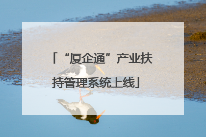 “厦企通”产业扶持管理系统上线