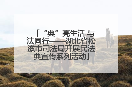 “典”亮生活 与法同行——湖北省松滋市司法局开展民法典宣传系列活动
