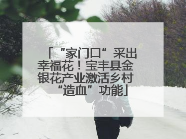 “家门口”采出幸福花！宝丰县金银花产业激活乡村“造血”功能