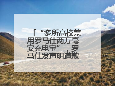 “多所高校禁用罗马仕两万毫安充电宝”，罗马仕发声明道歉：已展开核查