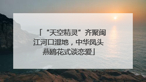 “天空精灵”齐聚闽江河口湿地，中华凤头燕鸥花式谈恋爱