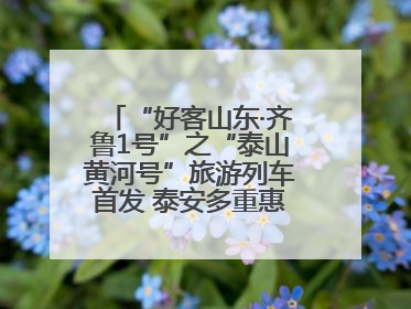 “好客山东·齐鲁1号”之“泰山黄河号”旅游列车首发 泰安多重惠民举措激活文旅消费新动能