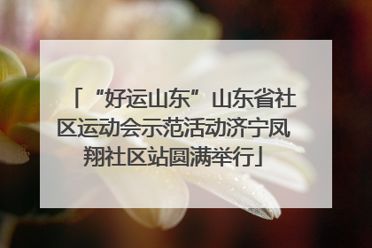 “好运山东”山东省社区运动会示范活动济宁凤翔社区站圆满举行