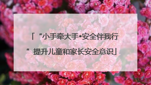 “小手牵大手•安全伴我行”提升儿童和家长安全意识