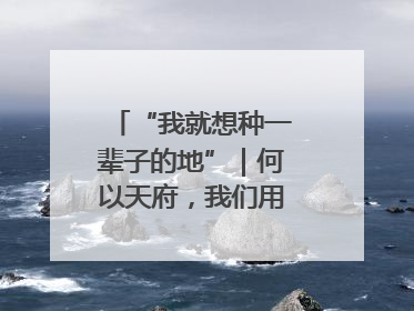 “我就想种一辈子的地”｜何以天府，我们用粮食作答②