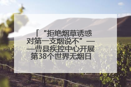 “拒绝烟草诱惑 对第一支烟说不”——曹县疾控中心开展第38个世界无烟日科普宣传活动