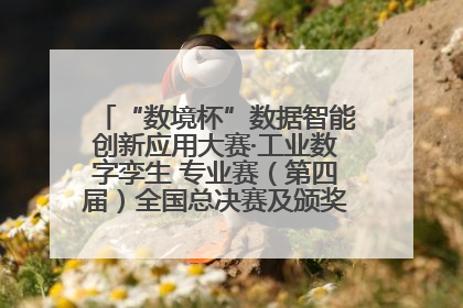 “数境杯”数据智能创新应用大赛·工业数字孪生 专业赛（第四届）全国总决赛及颁奖典礼成功举办