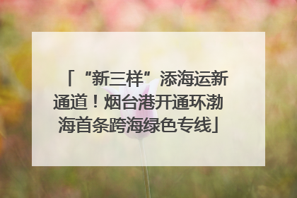 “新三样”添海运新通道！烟台港开通环渤海首条跨海绿色专线