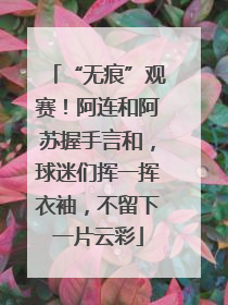 “无痕”观赛！阿连和阿苏握手言和，球迷们挥一挥衣袖，不留下一片云彩