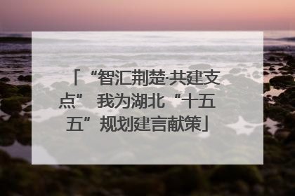 “智汇荆楚·共建支点” 我为湖北“十五五”规划建言献策