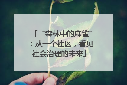 “森林中的麻雀”：从一个社区，看见社会治理的未来