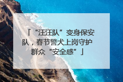 “汪汪队”变身保安队，春节警犬上岗守护群众“安全感”