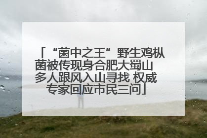 “菌中之王”野生鸡枞菌被传现身合肥大蜀山 多人跟风入山寻找 权威专家回应市民三问