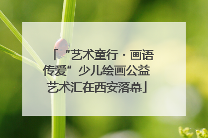 “艺术童行・画语传爱”少儿绘画公益艺术汇在西安落幕