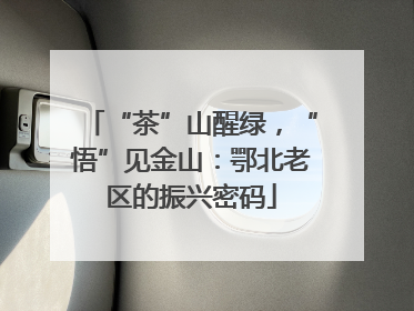 “茶”山醒绿，“悟”见金山：鄂北老区的振兴密码