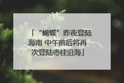 “蝴蝶”昨夜登陆海南 中午前后将再次登陆粤桂沿海