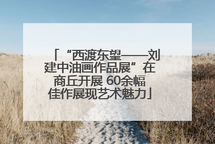 “西渡东望——刘建中油画作品展”在商丘开展 60余幅佳作展现艺术魅力