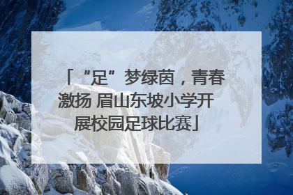 “足”梦绿茵，青春激扬 眉山东坡小学开展校园足球比赛