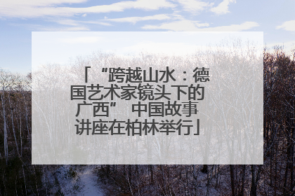 “跨越山水：德国艺术家镜头下的广西” 中国故事讲座在柏林举行