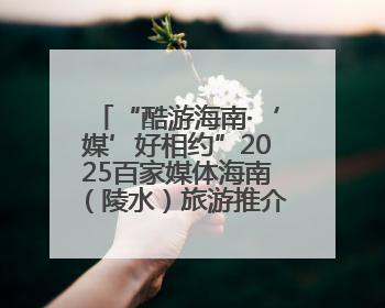 “酷游海南·‘媒’好相约”2025百家媒体海南（陵水）旅游推介活动启幕