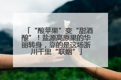 “酸苹果”变“甜酒酿”！盐源高原果的华丽转身，靠的是这场浙川千里“联姻”