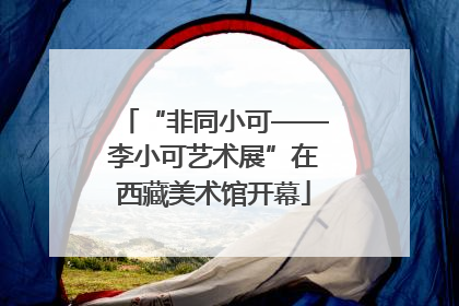 “非同小可——李小可艺术展”在西藏美术馆开幕