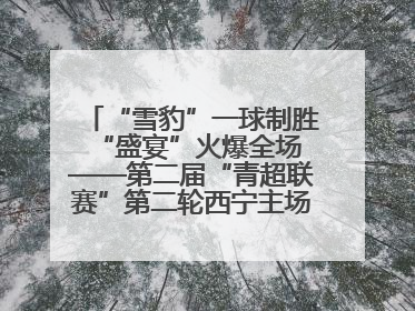 “雪豹”一球制胜 “盛宴”火爆全场——第二届“青超联赛”第二轮西宁主场比赛见闻