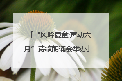“风吟夏章·声动六月”诗歌朗诵会举办