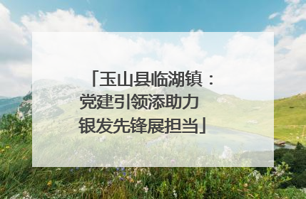 玉山县临湖镇：党建引领添助力 银发先锋展担当